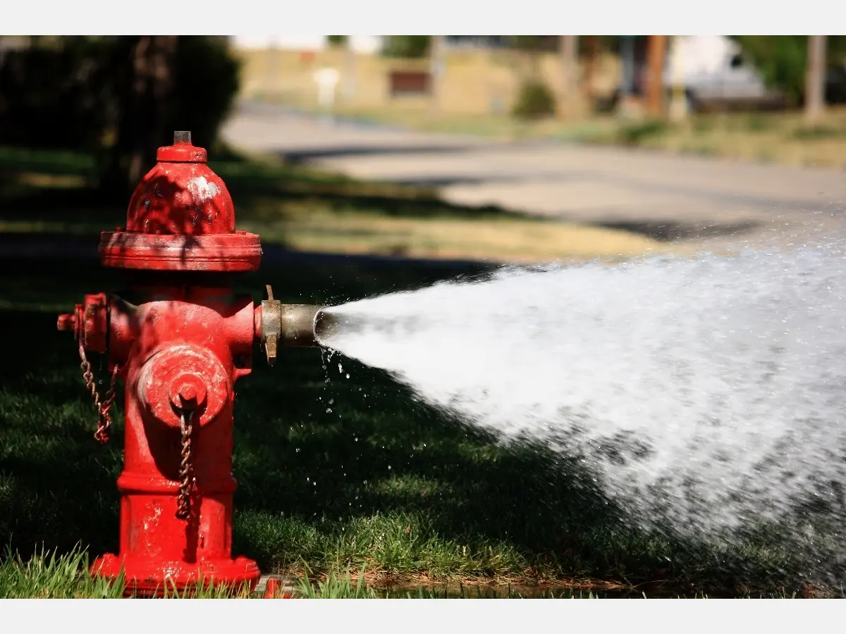 Scheduled Water Flush