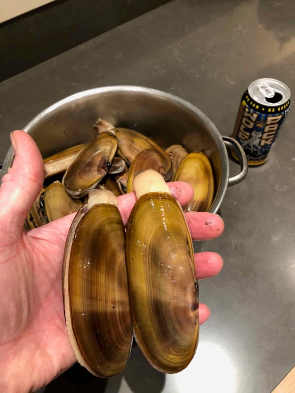 December Clam Dig Dates